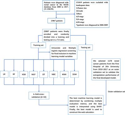 A machine learning-based model for predicting distant metastasis in patients with rectal cancer